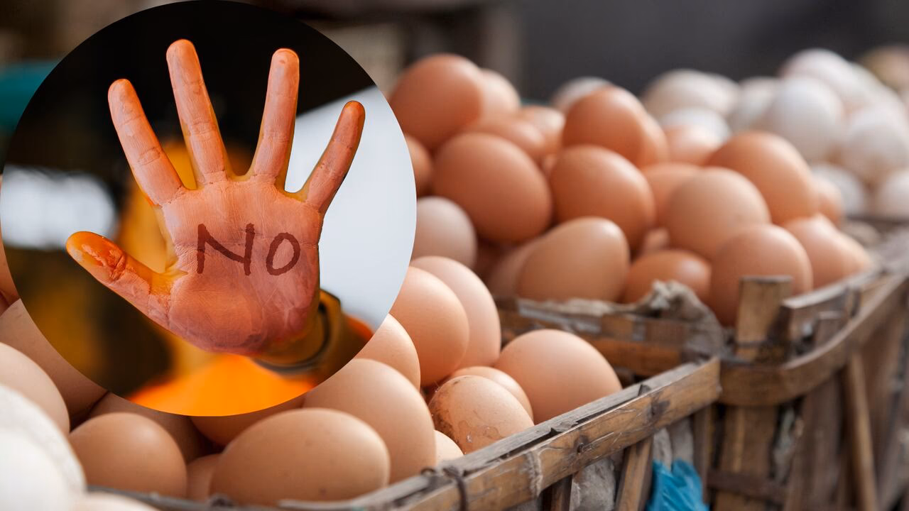 O que aconteceu com os ovos contaminados?