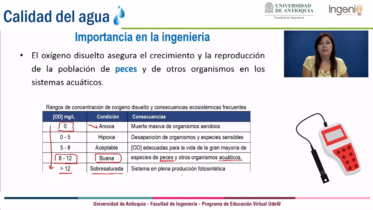 ¿Qué es la concentración de oxígeno disuelto?