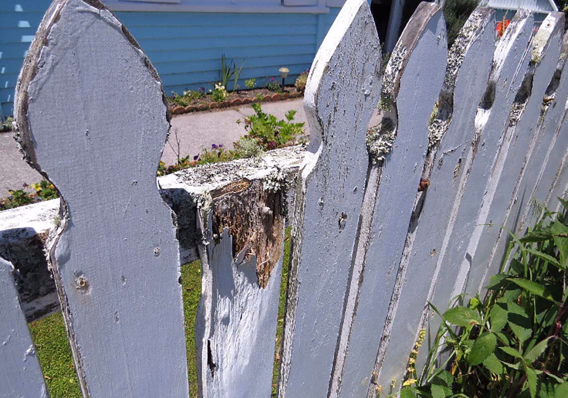 Is it safe to live in a P contaminated house?