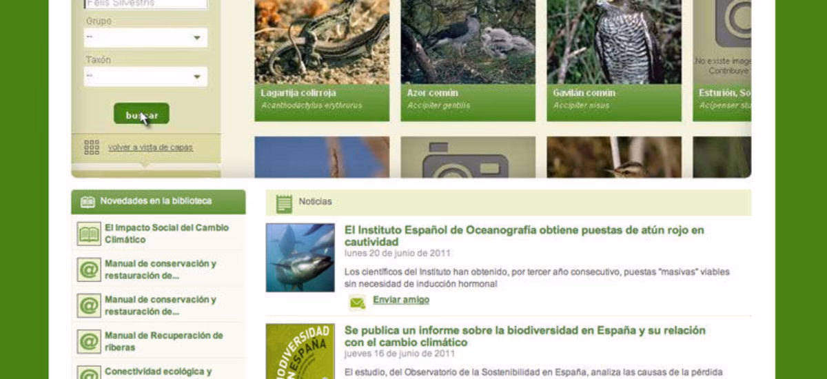 ¿Qué buscan las páginas ambientales y ecológicas en Internet?