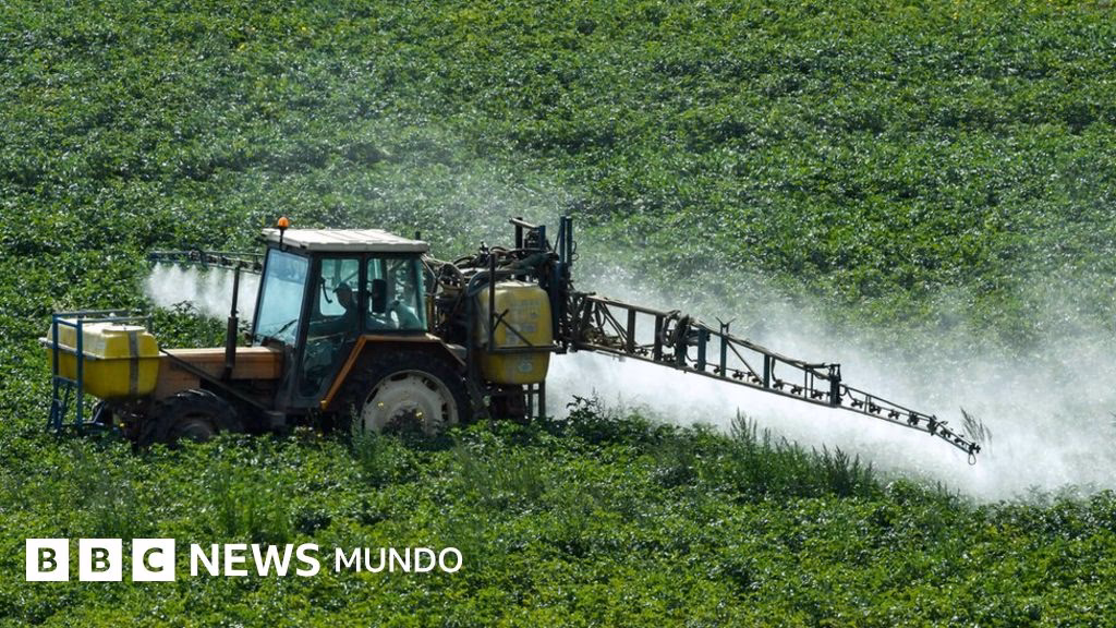 ¿Cuáles son los impactos del uso de glifosato en el medio ambiente?
