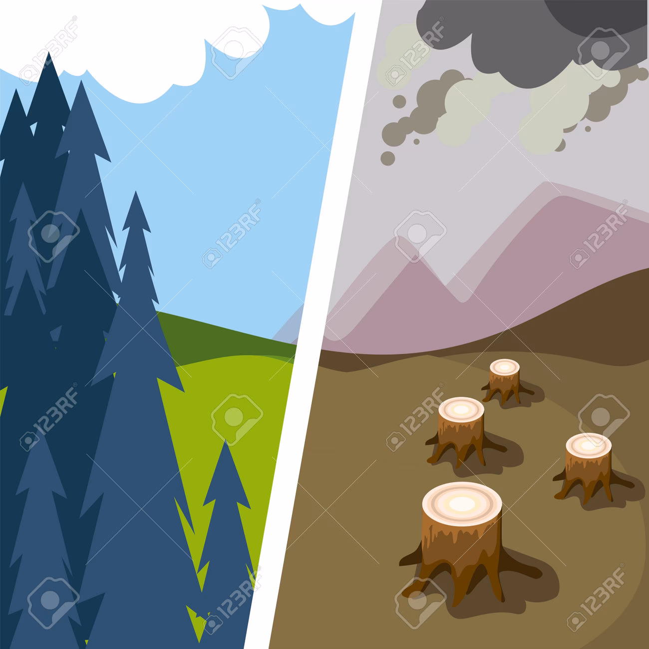 ¿Cómo podemos disfrutar de los paisajes sin el agua?