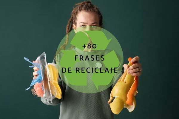 ¿Cómo contribuye la recolección de tapitas plásticas a la contaminación ambiental?