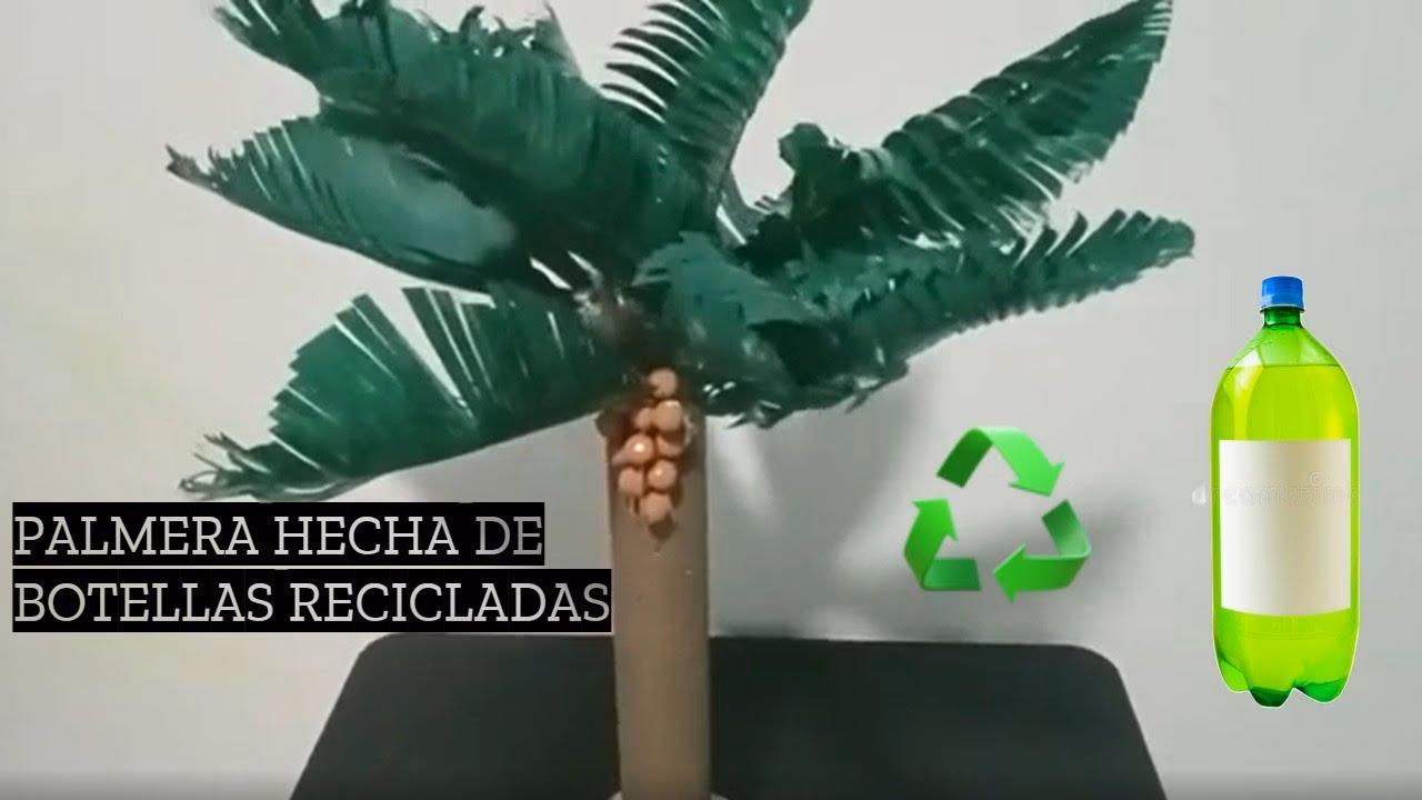 ¿Cuáles son los diferentes tipos de materiales provenientes de las palmeras?