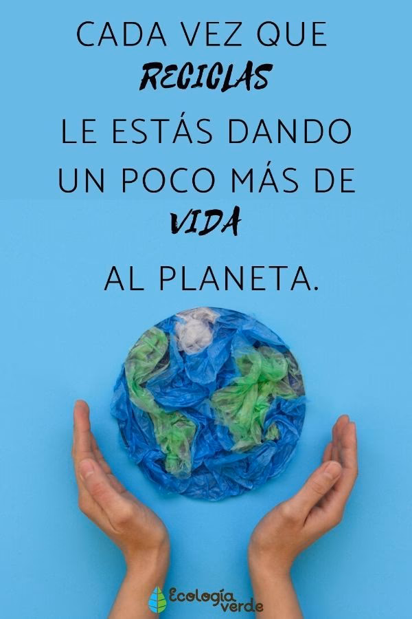 ¿Qué son las pancartas con frases ambientales?