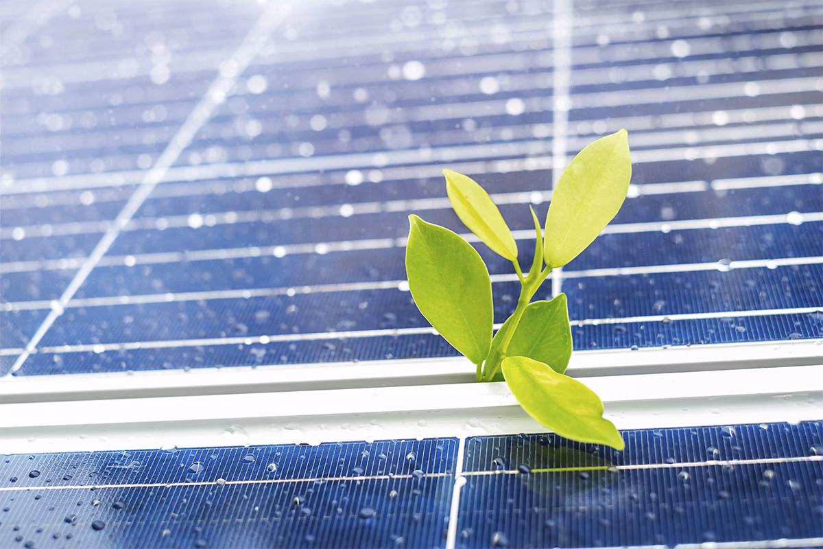 ¿Por qué los paneles solares son dañinos para el medio ambiente?