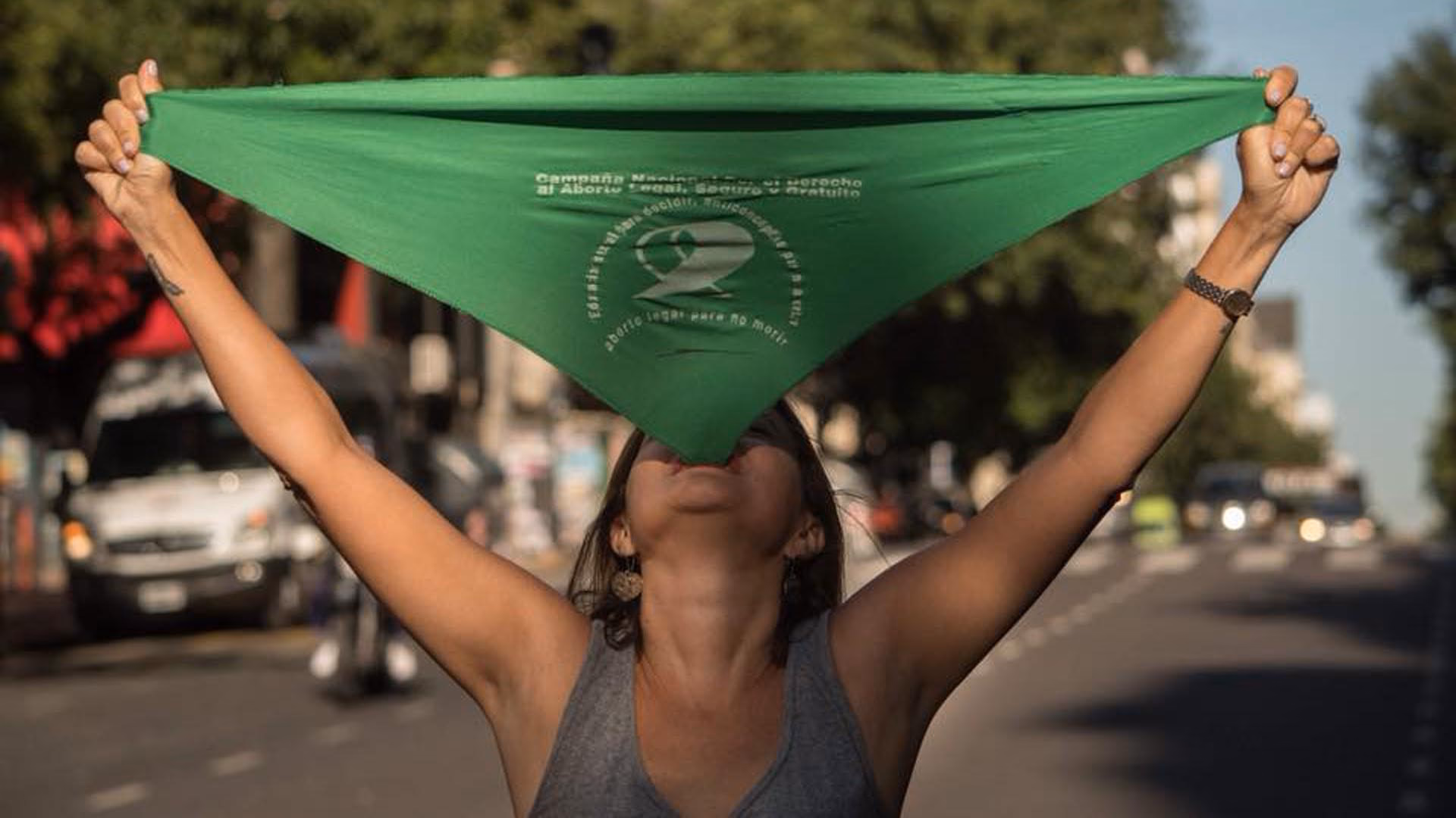 ¿Cuál es el impacto ambiental de los pañuelos de papel?