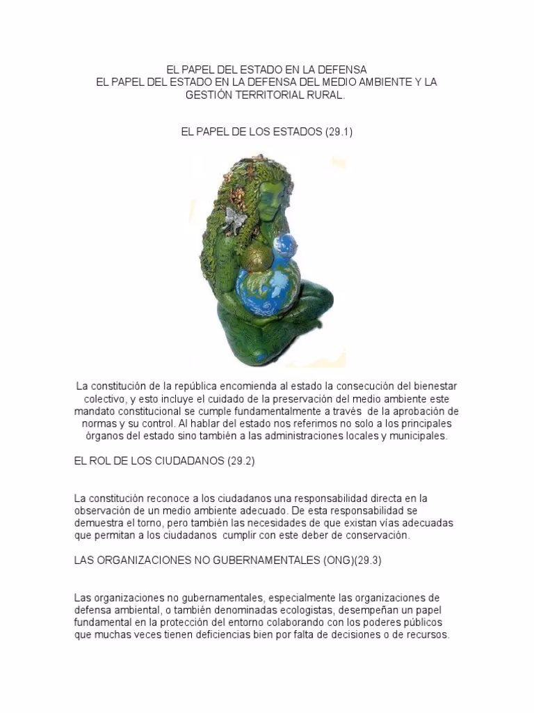 ¿Cuál es el papel del gobierno en la protección del Medio Ambiente?