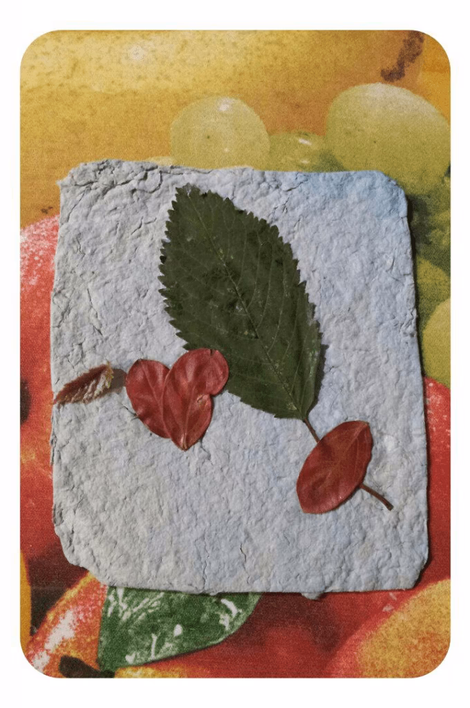 ¿Cuál es el objetivo del proyecto para promover el reciclaje y reducir la contaminación ambiental?