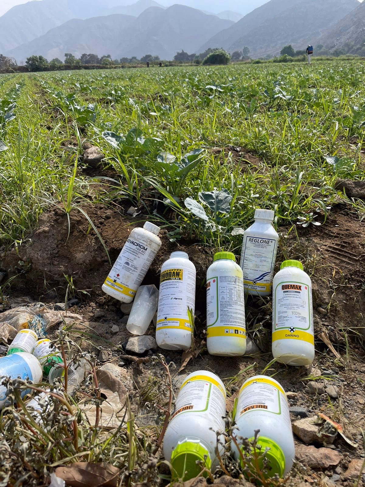 ¿Cuáles son los riesgos de los plaguicidas?