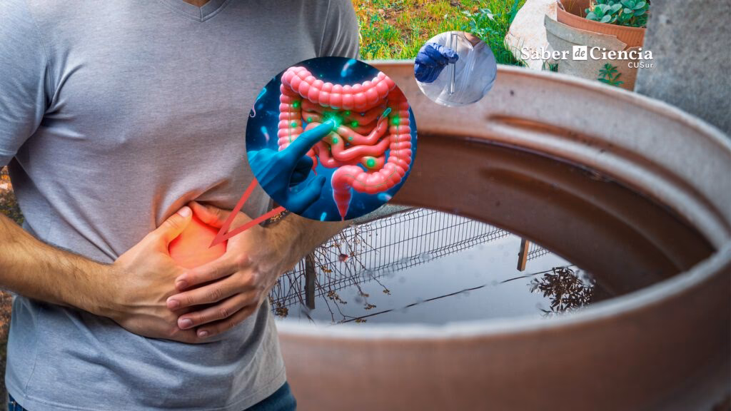 ¿Qué parásitos pueden transmitirse a través del agua?