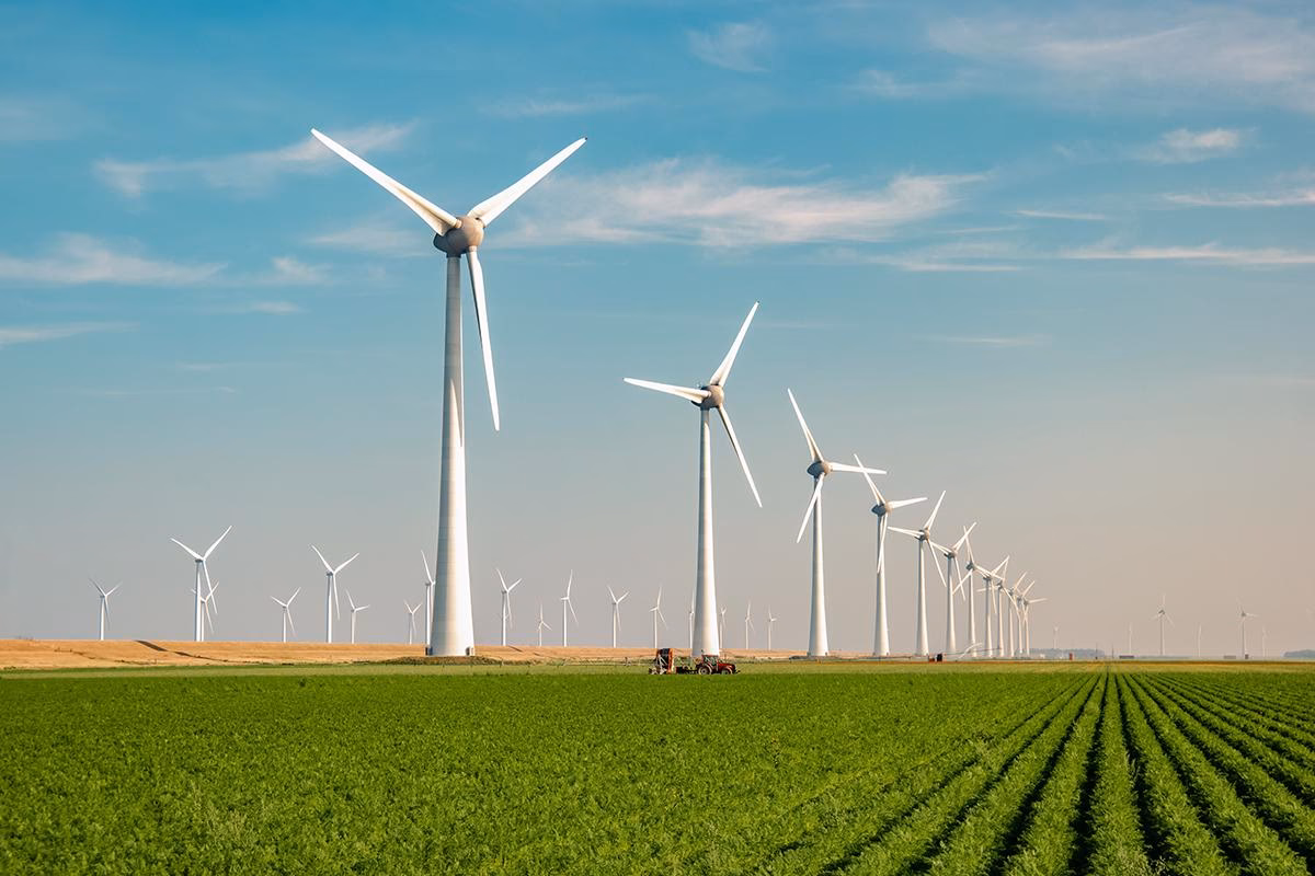 ¿Qué es un parque eólico?