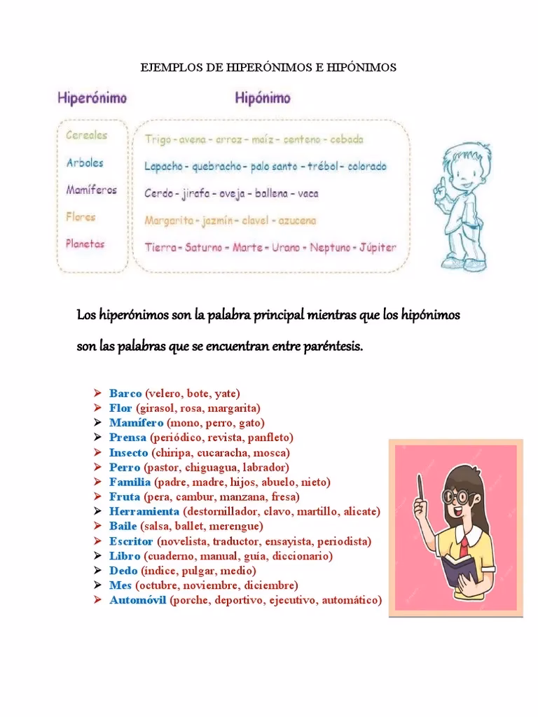 ¿Cuál es la diferencia entre hipónimos y hiperónimos?
