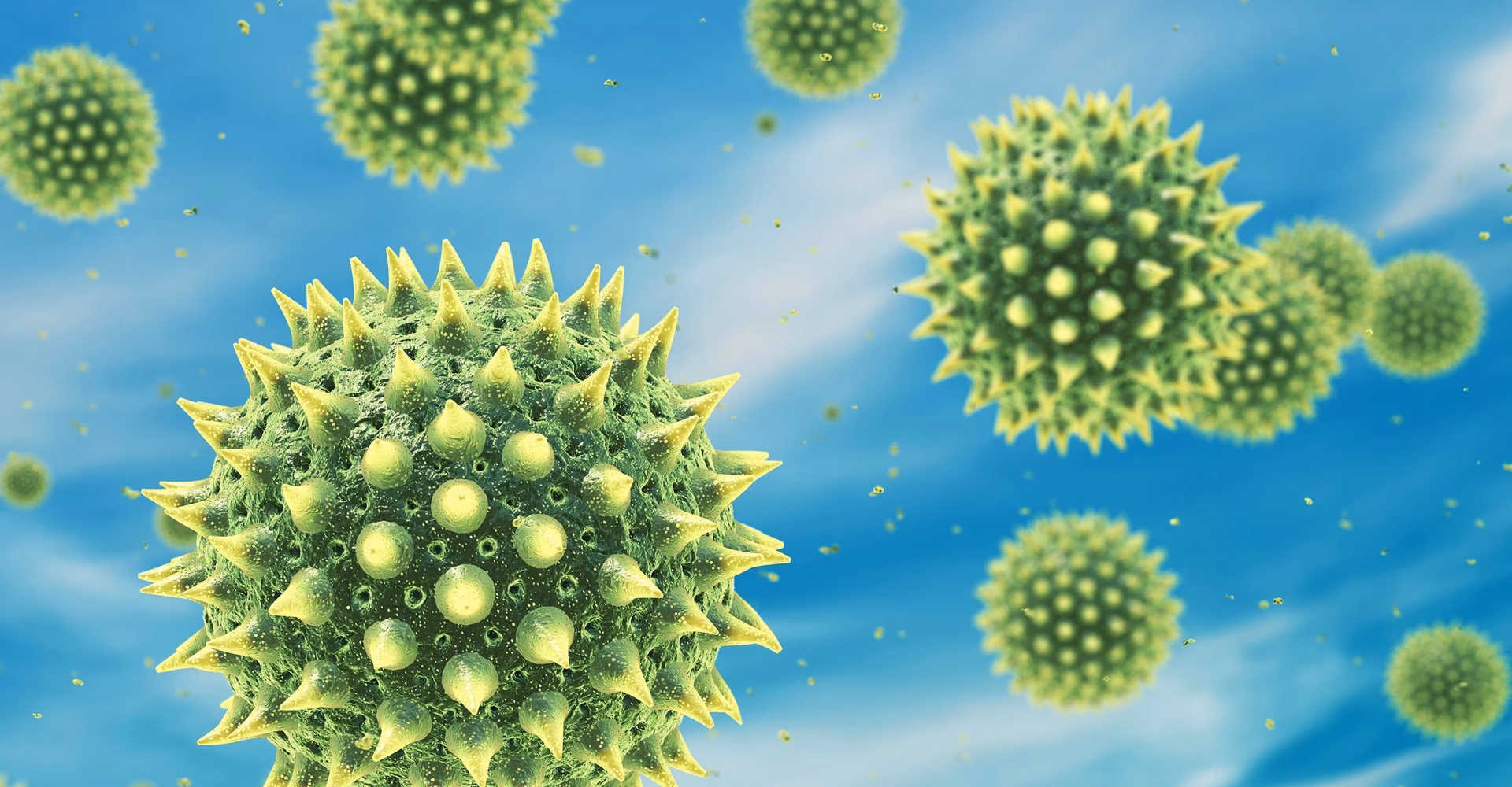 ¿Cuál es el impacto de la contaminación por partículas?