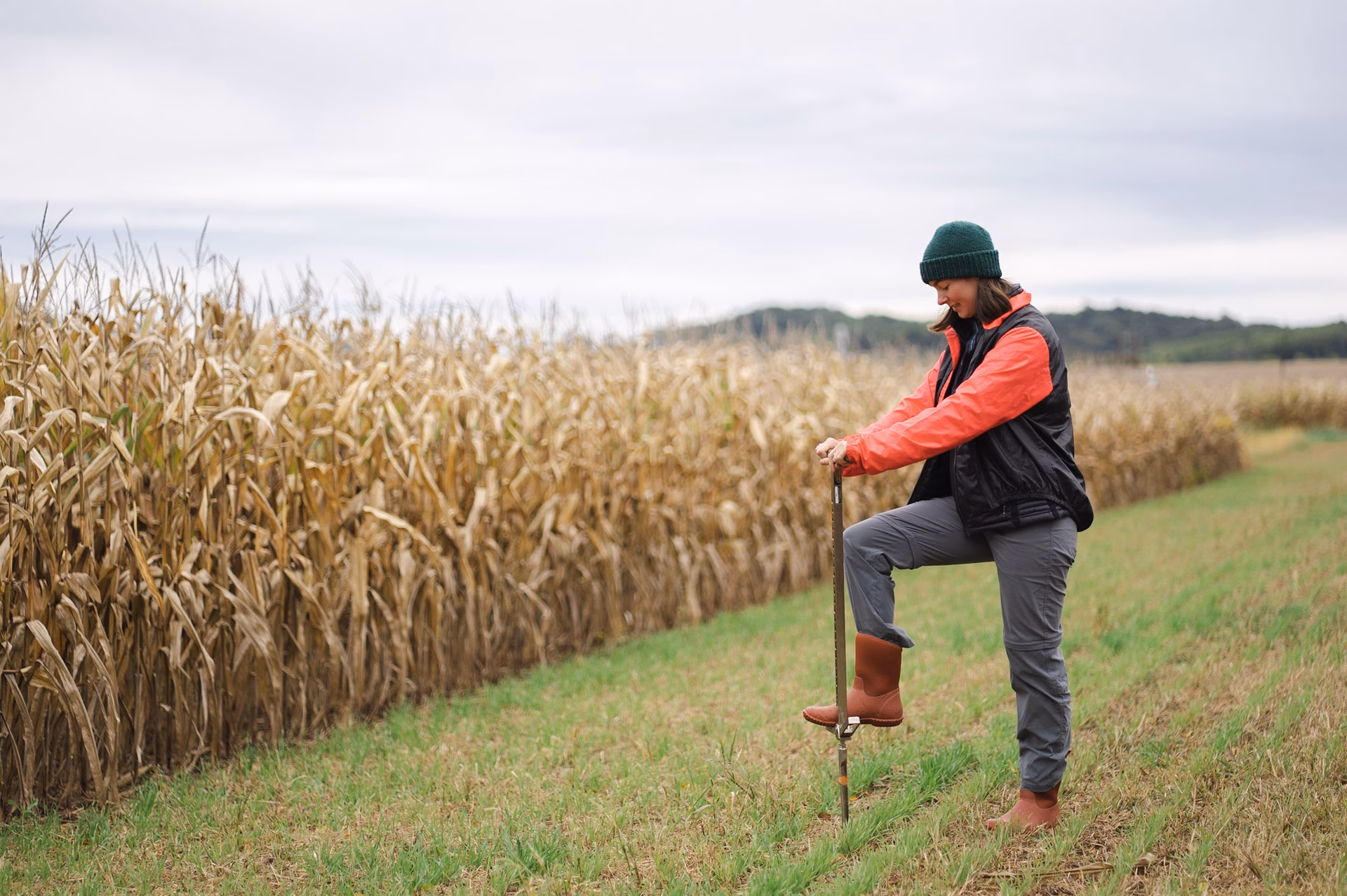¿Qué pasará si la agricultura deja de ser rentable?