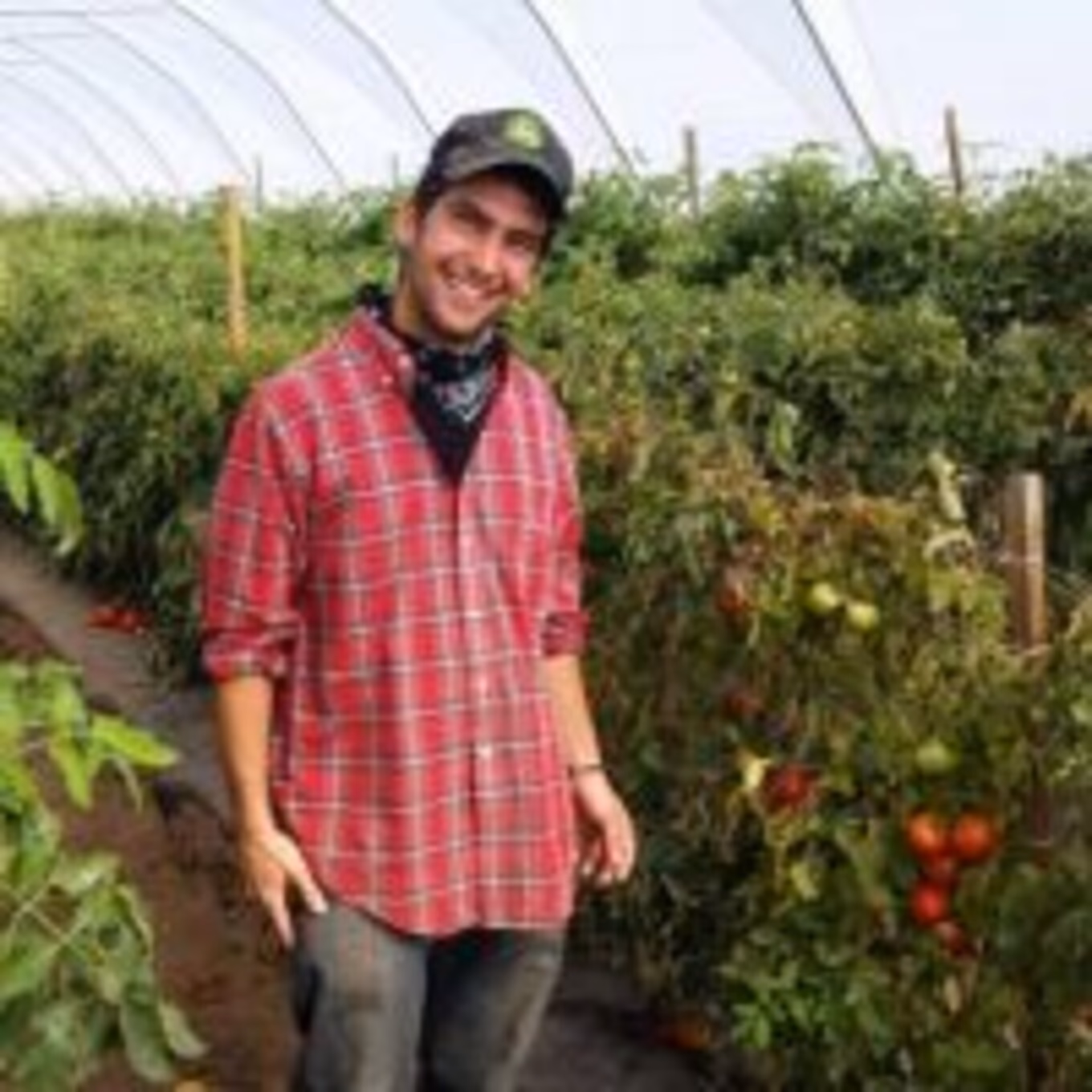 ¿Quiénes pueden participar en pasantías rentadas en el extranjero?