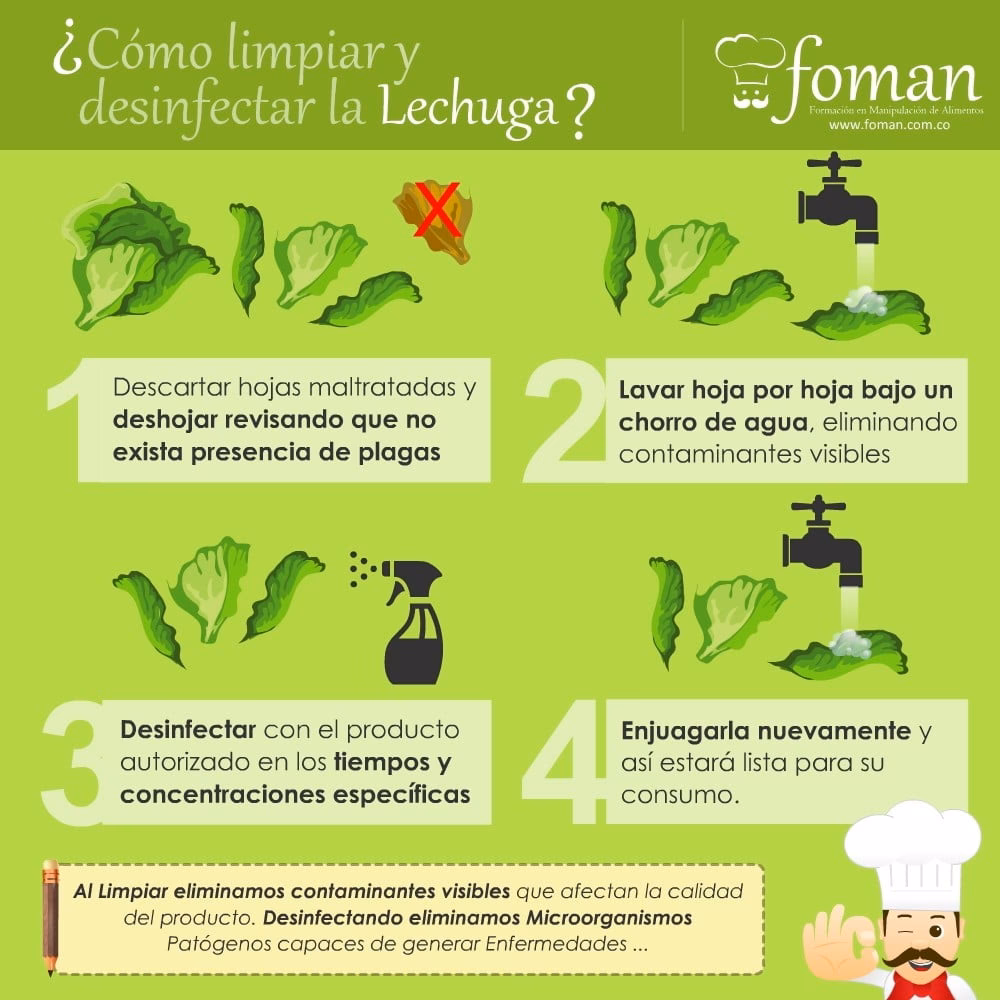 ¿Cuáles son las fuentes de contaminación de la leche cruda?