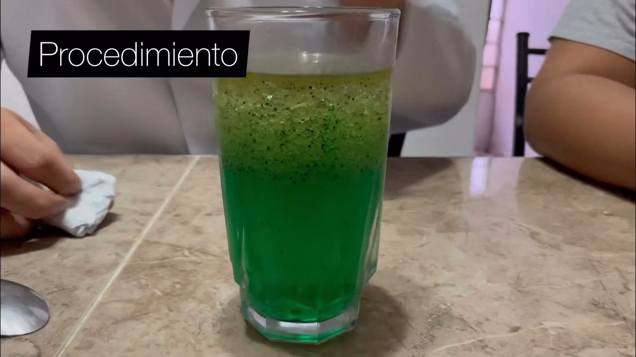 ¿Cómo conservar el medio ambiente?