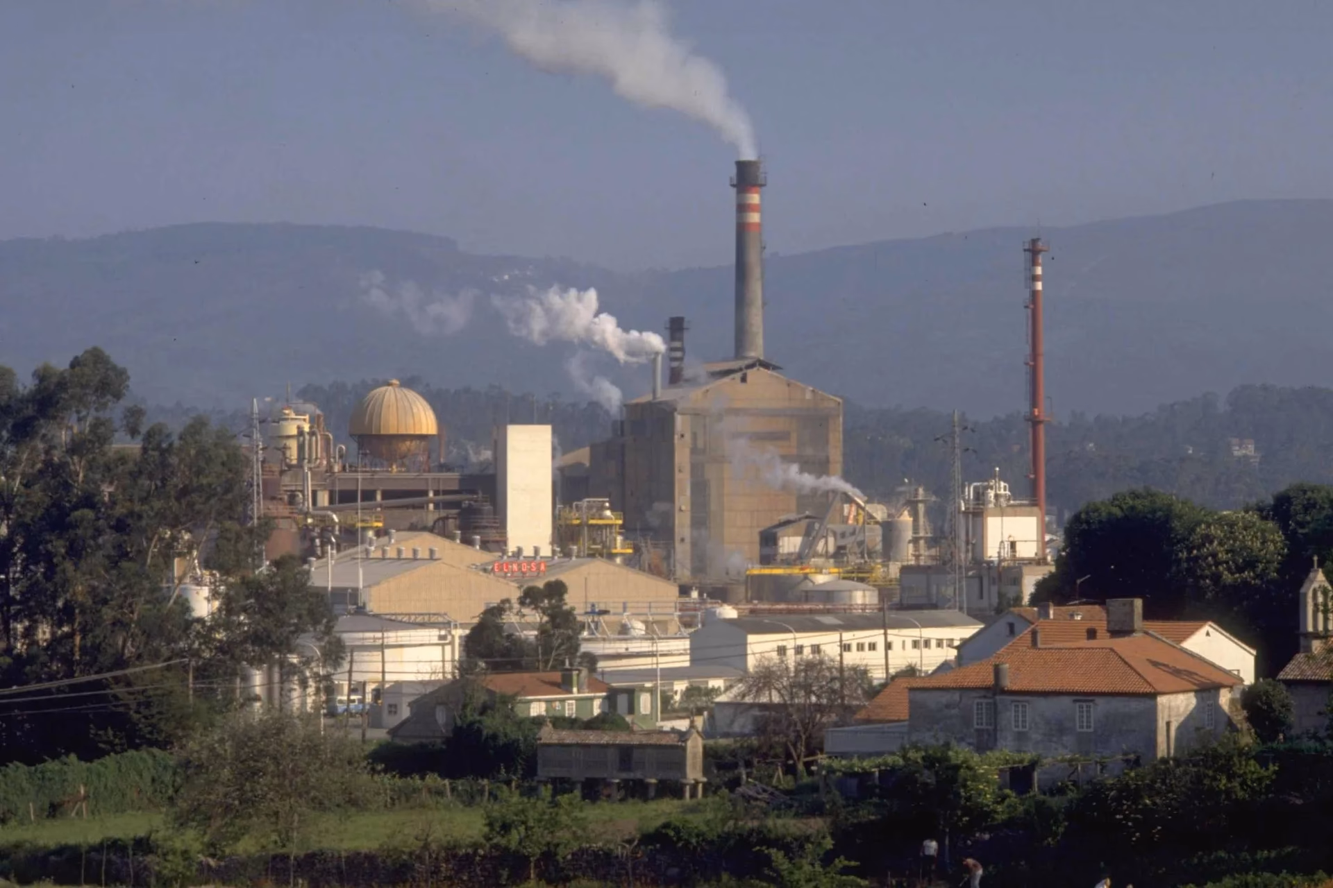 ¿Qué factores influyen en la contaminación de los pastos?