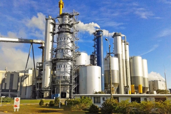 ¿Qué factores influyen en la contaminación de los pastos?