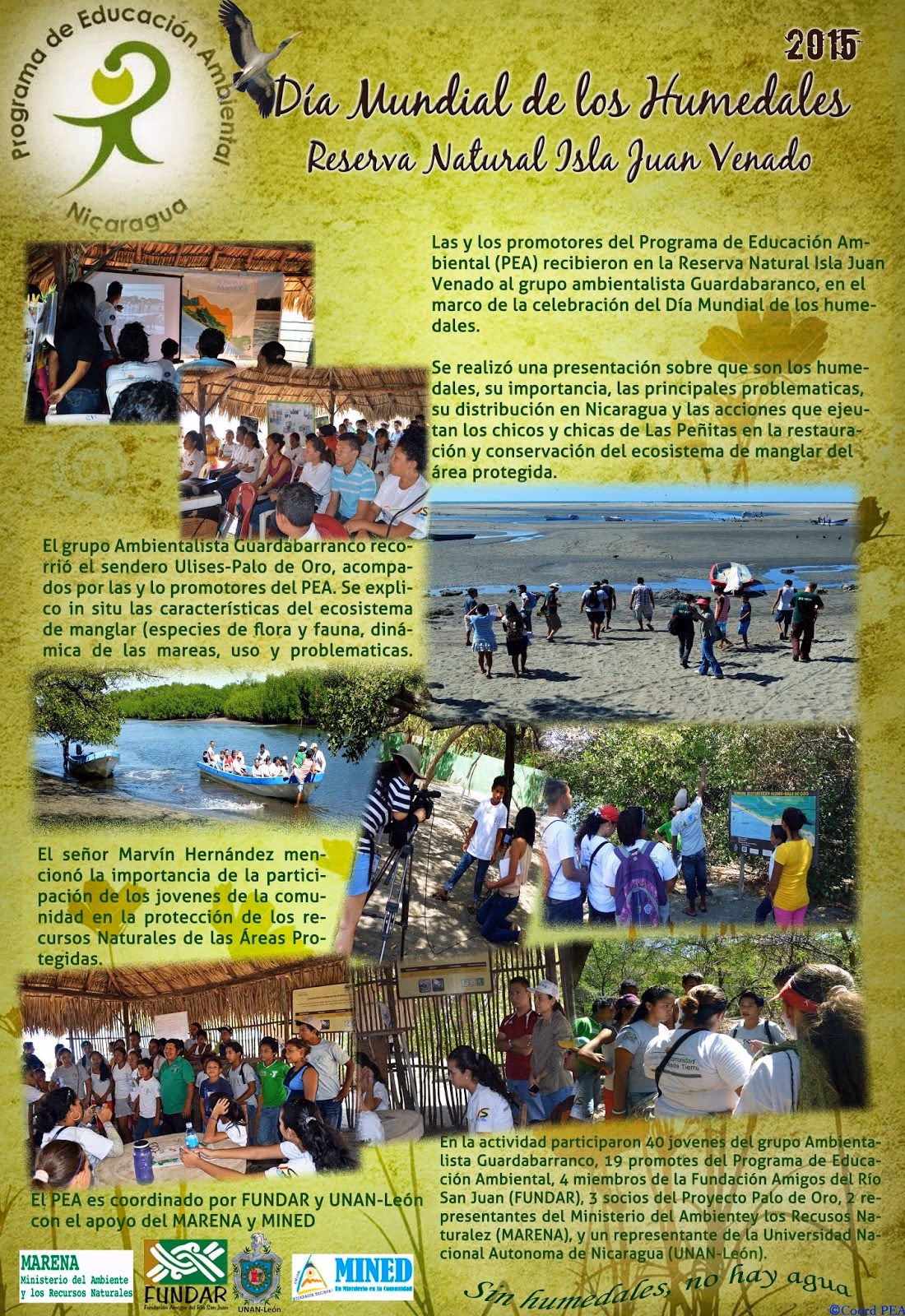 ¿Cuándo comenzó la búsqueda de Educación Ambiental?