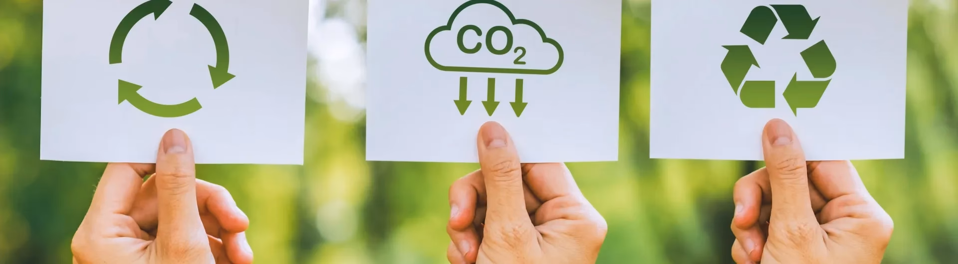 ¿Qué es la maestría en Tecnologias para el desarrollo sustentable?