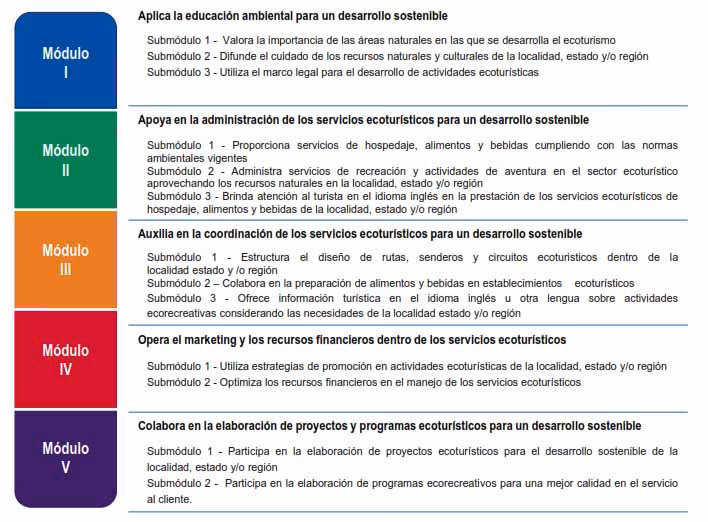 ¿Qué tipo de apoyo brindan los profesores en la Escuela de Turismo?