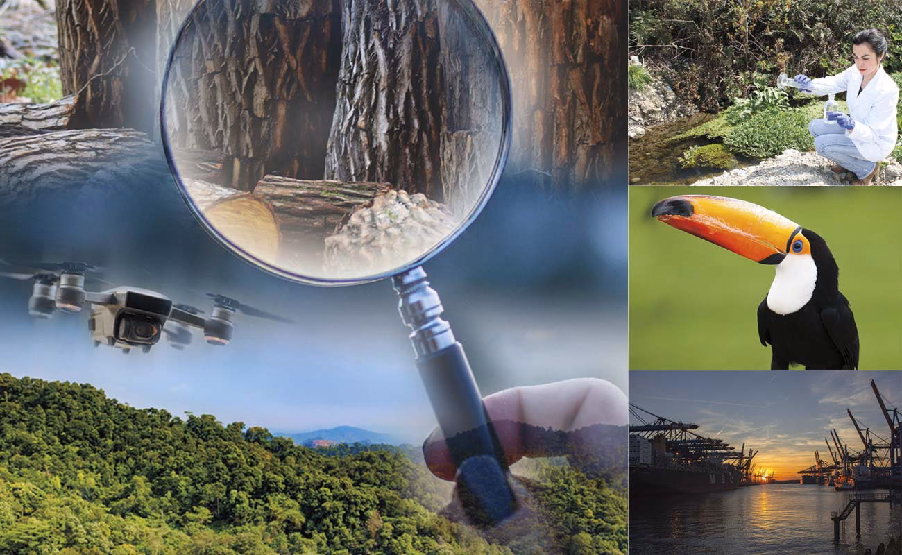 ¿Cómo se percibe el medio ambiente?