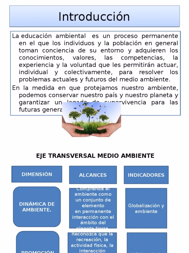 ¿Cómo se regula la protección del ambiente?