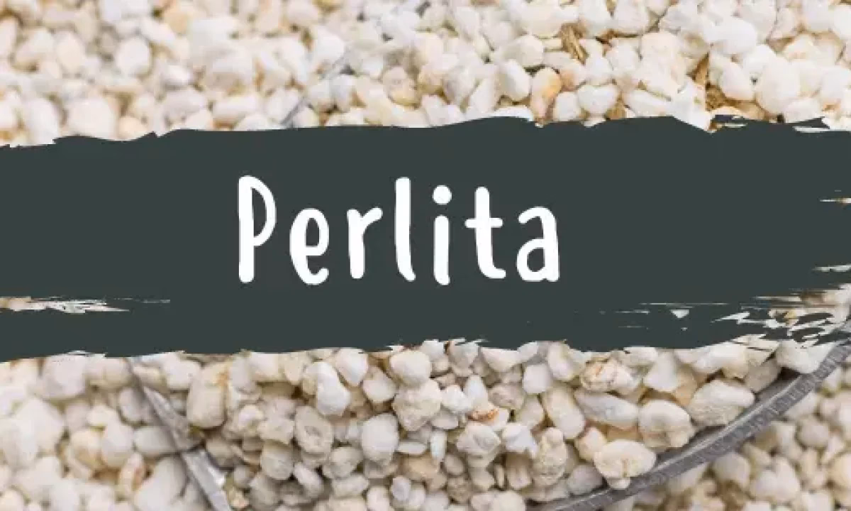¿Qué es la perlita y cómo funciona?