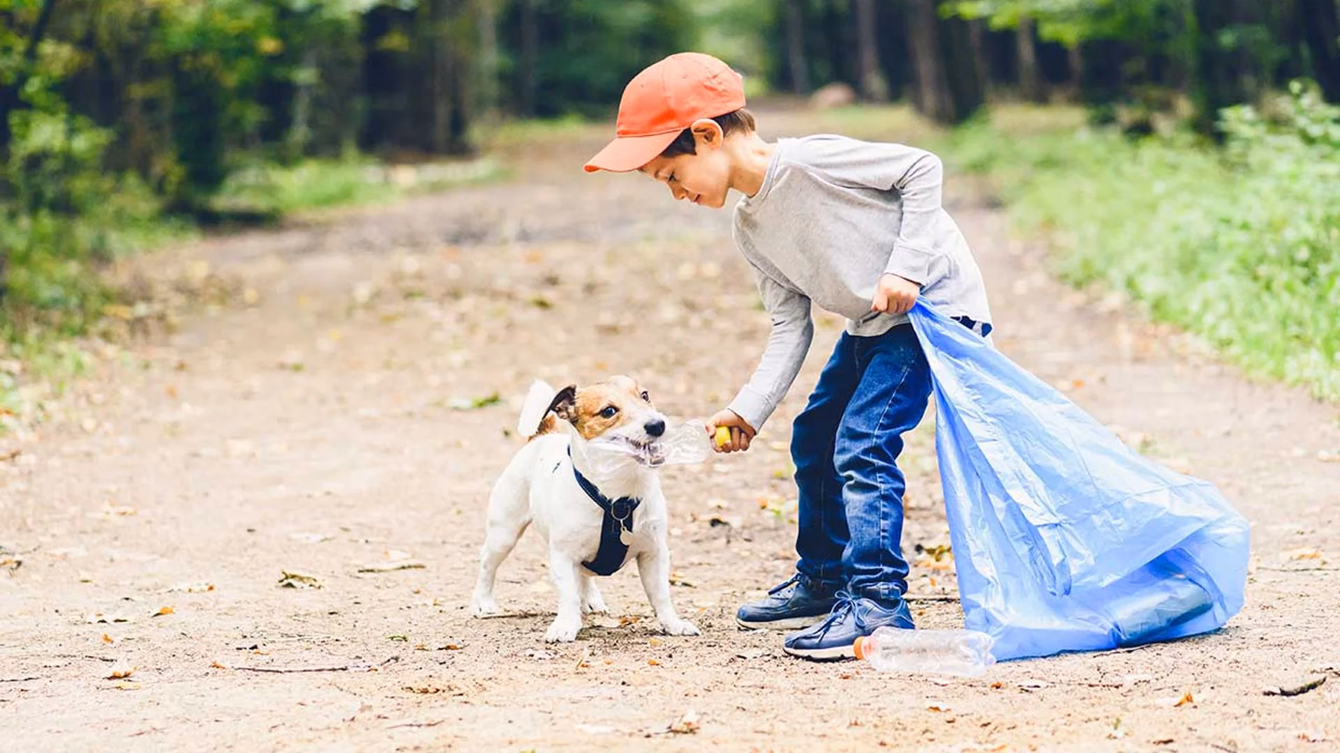 ¿Cómo afectan los animales al medio ambiente?
