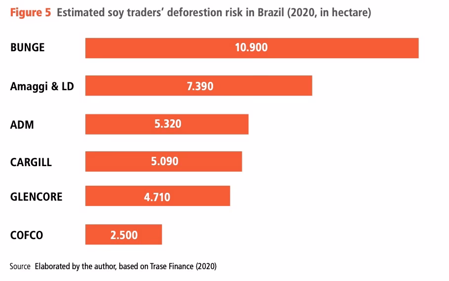 ¿Por qué todos formamos parte de una economía deforestadora?
