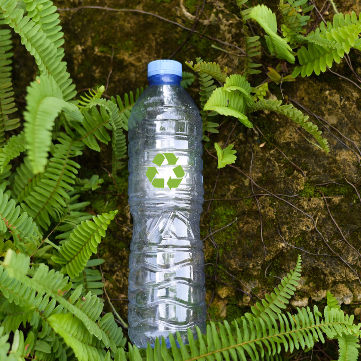 ¿Cómo reducir la fabricación de Pet?