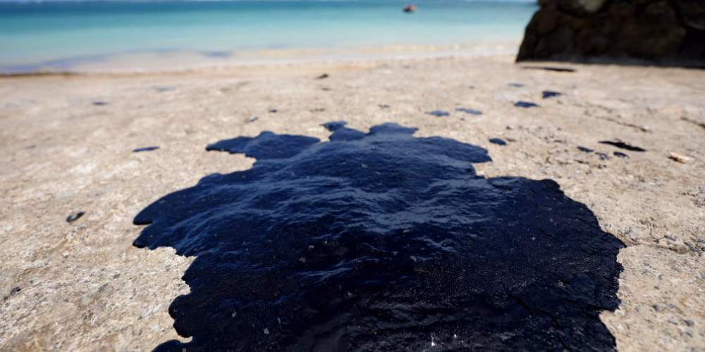 ¿Cuáles son los efectos del petróleo en el mar?