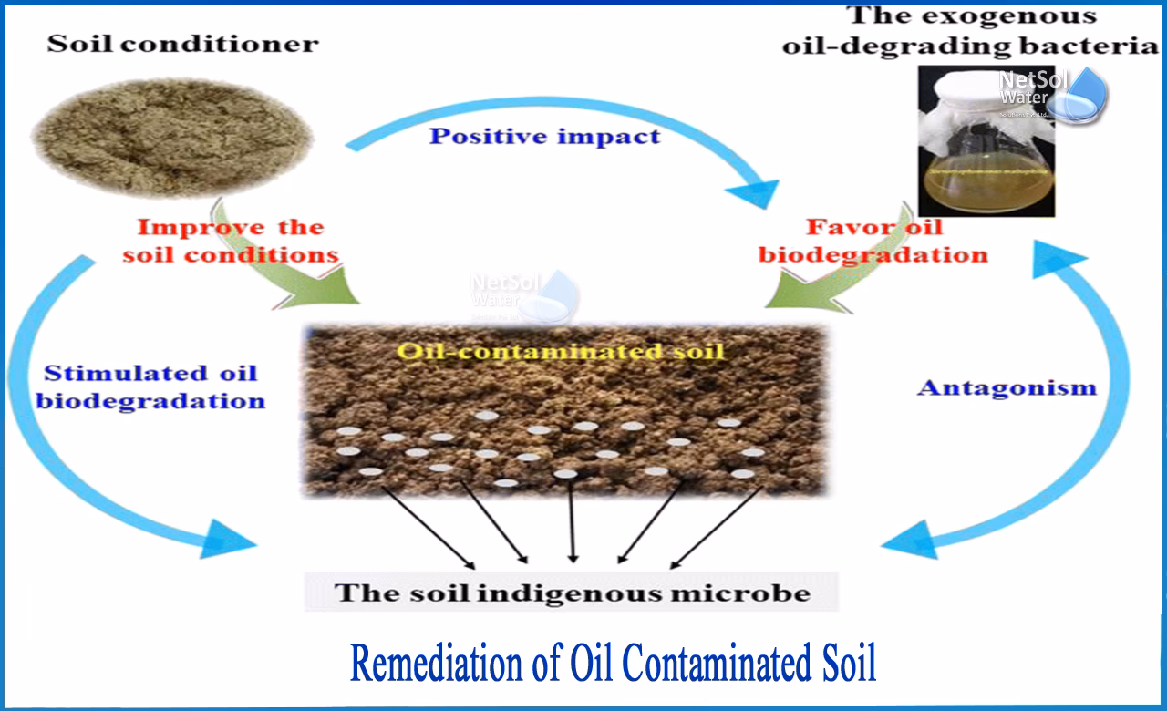 Does bioremediation of petroleum contaminated soil entail a gradual enrichment of functional microorganisms?