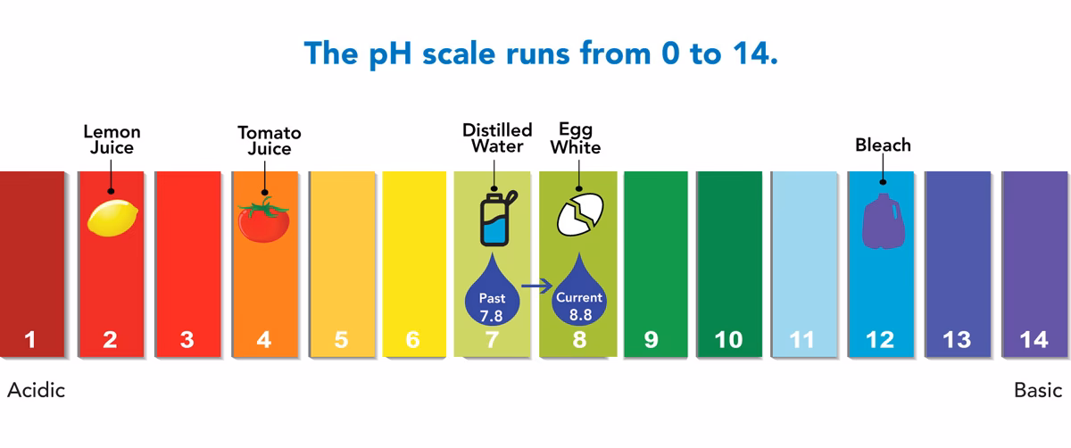¿Qué problemas puede causar un pH alto en los sistemas de tratamiento de agua?
