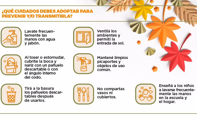 ¿Cuál es el problema con los picaportes?