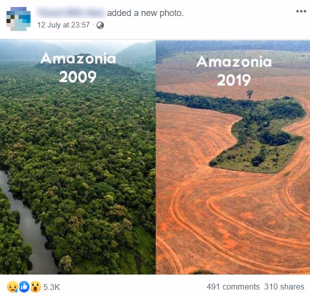 What causes forest deforestation?