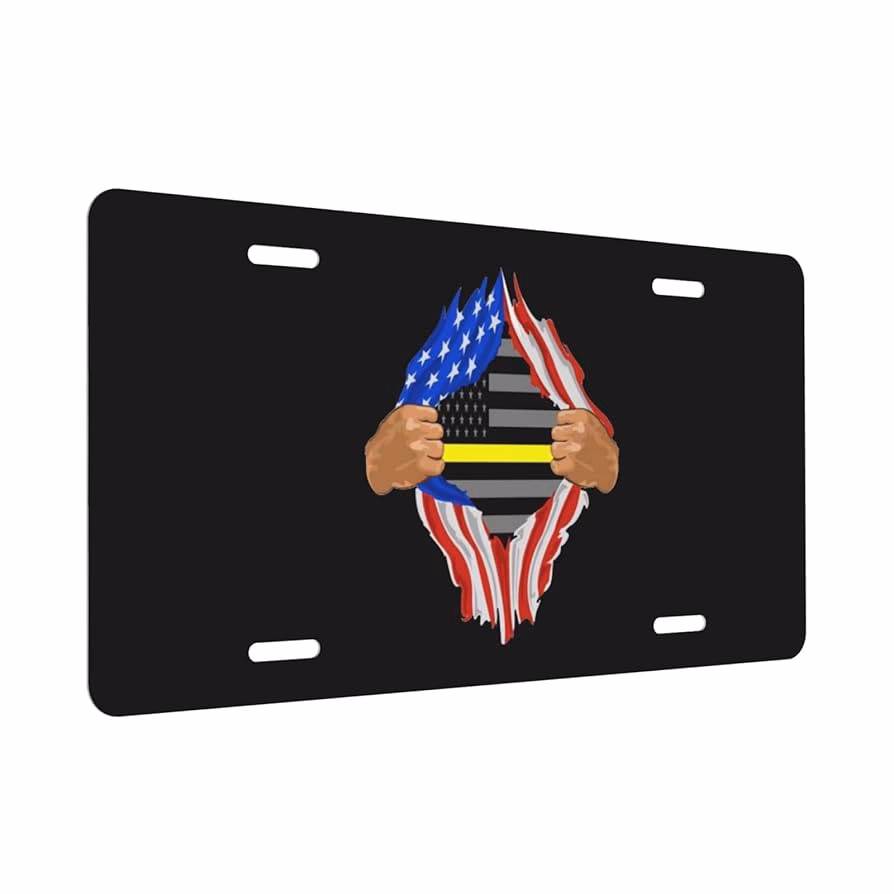 ¿Qué información proporcionan las placas de seguridad?