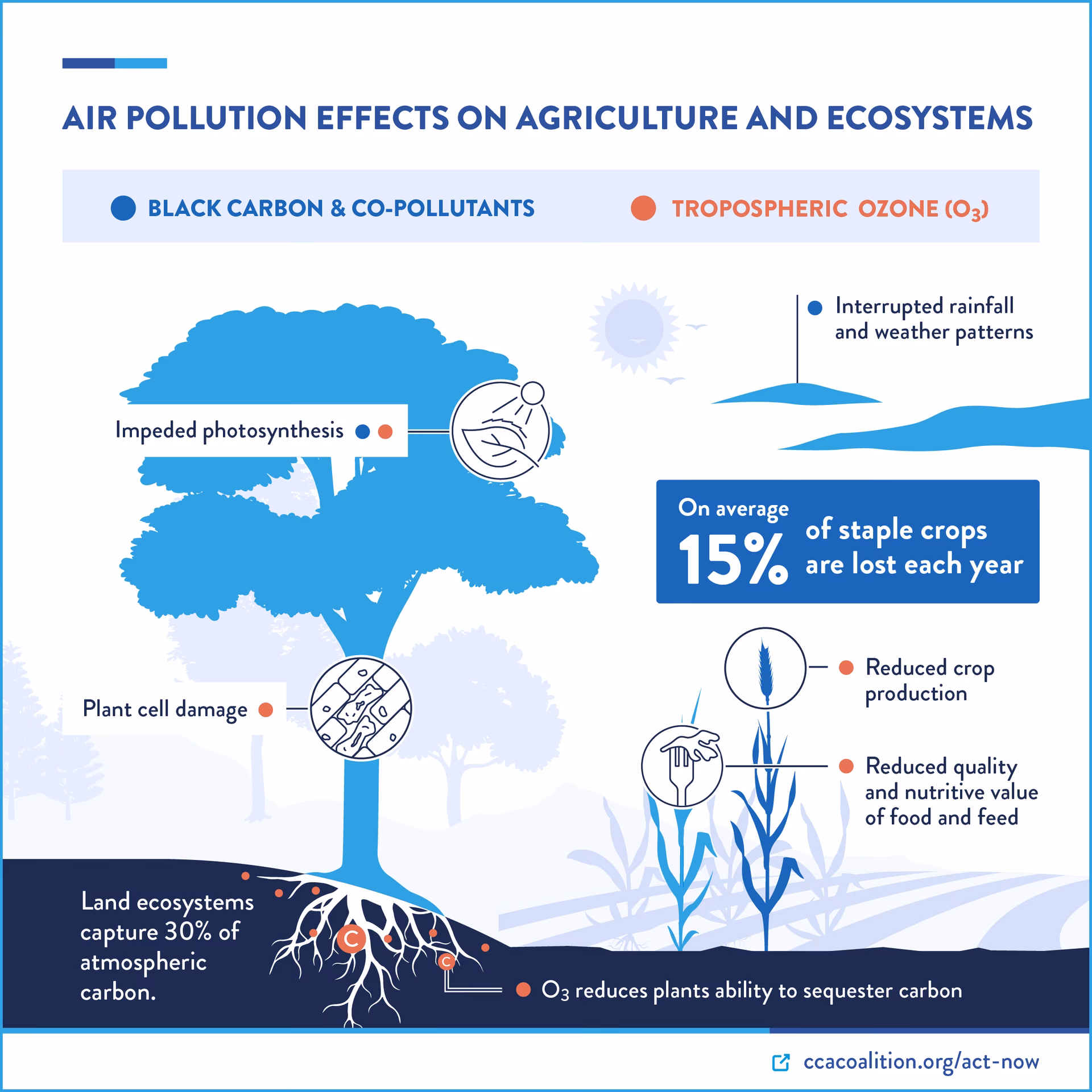 ¿Cómo reducir las emisiones de los contaminantes del clima de corta vida?