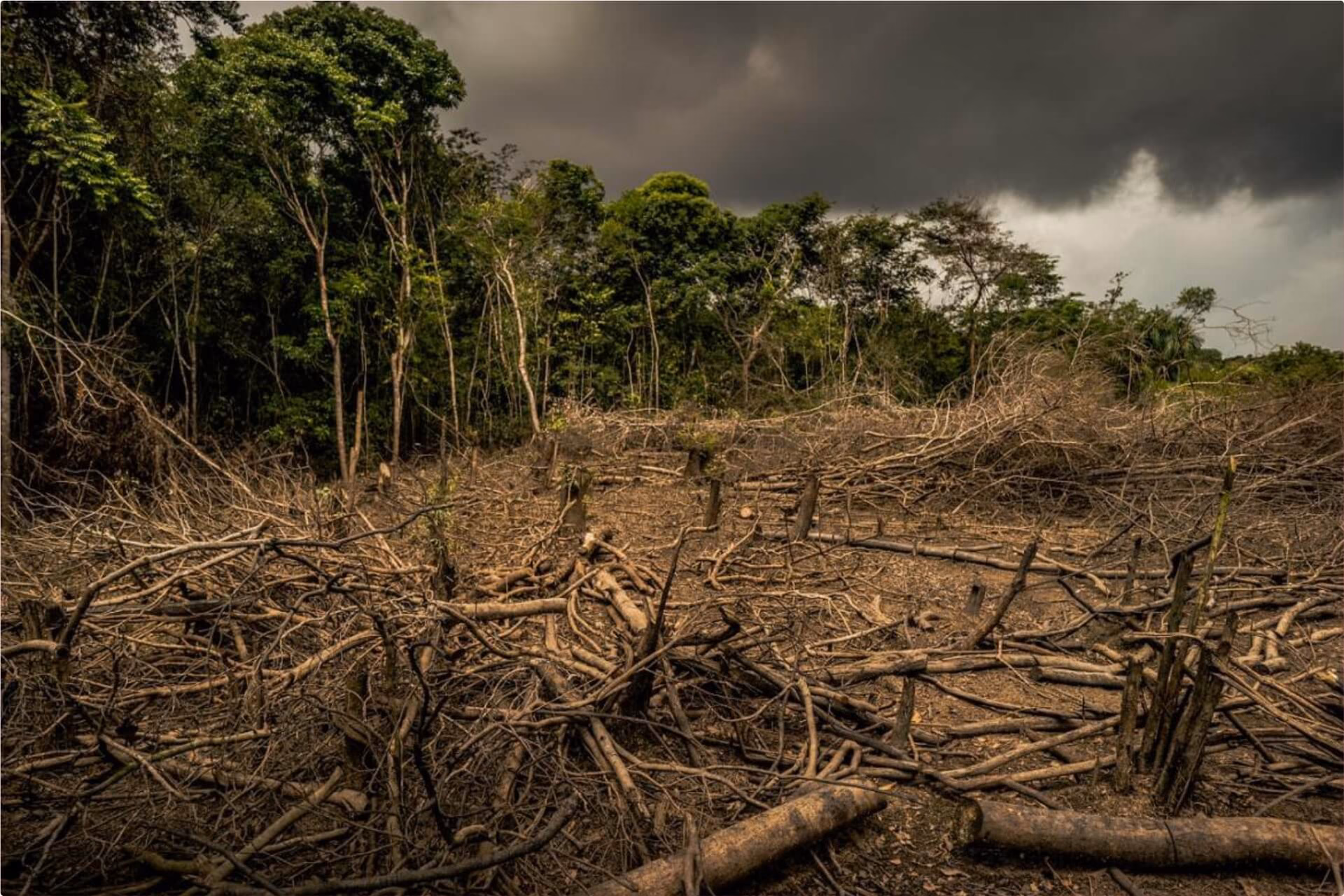 ¿Cuáles son las causas de la contaminación del mercurio?