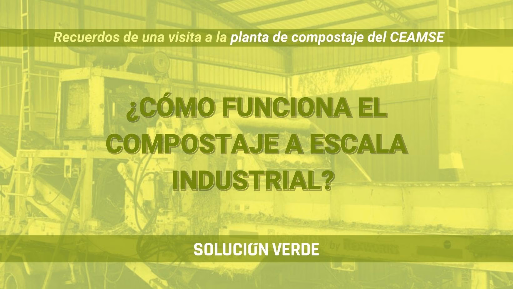 ¿Qué cultivos hay en el centro de compostaje?