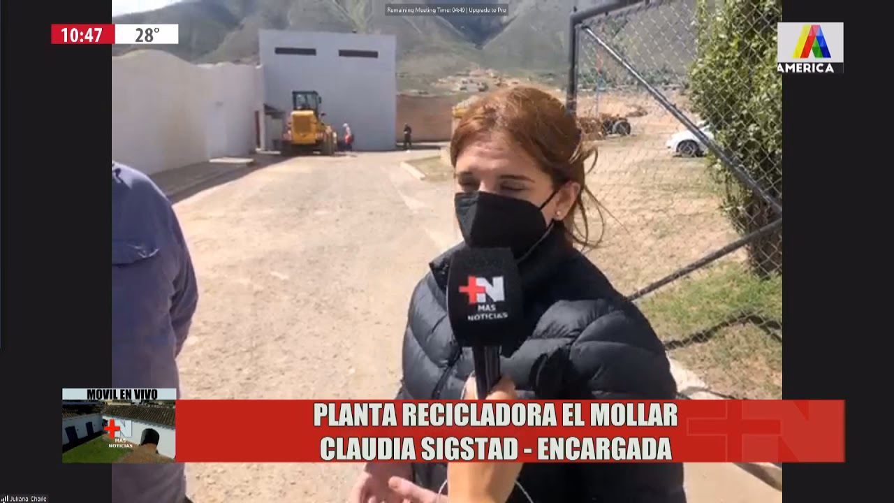 ¿Por qué se debe evitar el cultivo de molle?