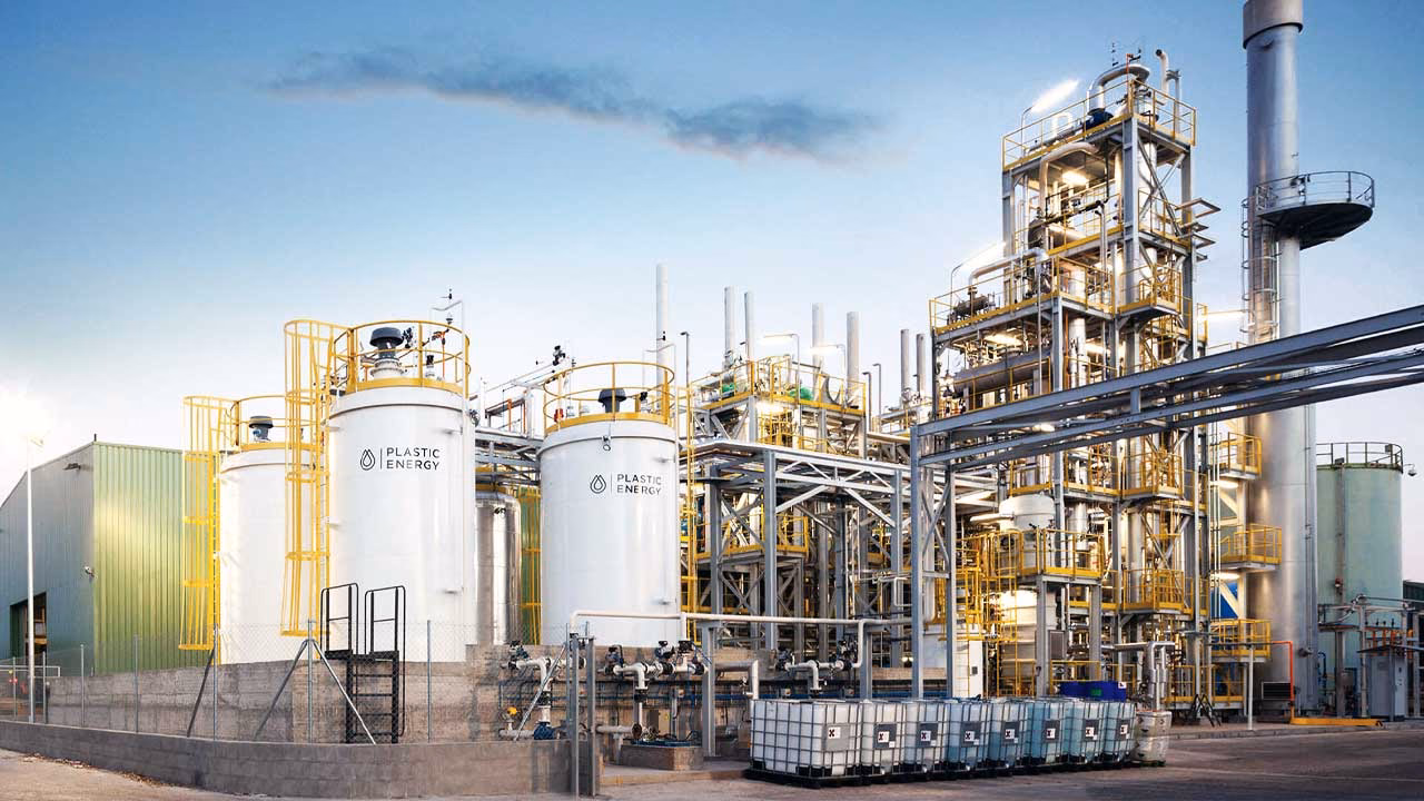 ¿Qué condiciones favorecen la proliferación de las plantas en Holanda?