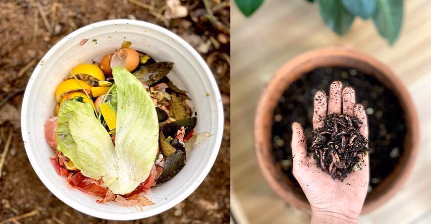 ¿Cuántos orgánicos ingresaron a las plantas de compostaje entre 2008 y 2011?