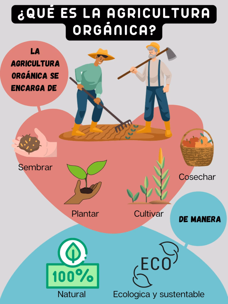 ¿Qué es la planta orgánica?