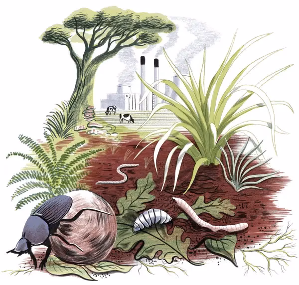 ¿Cómo combatir el cambio climático?