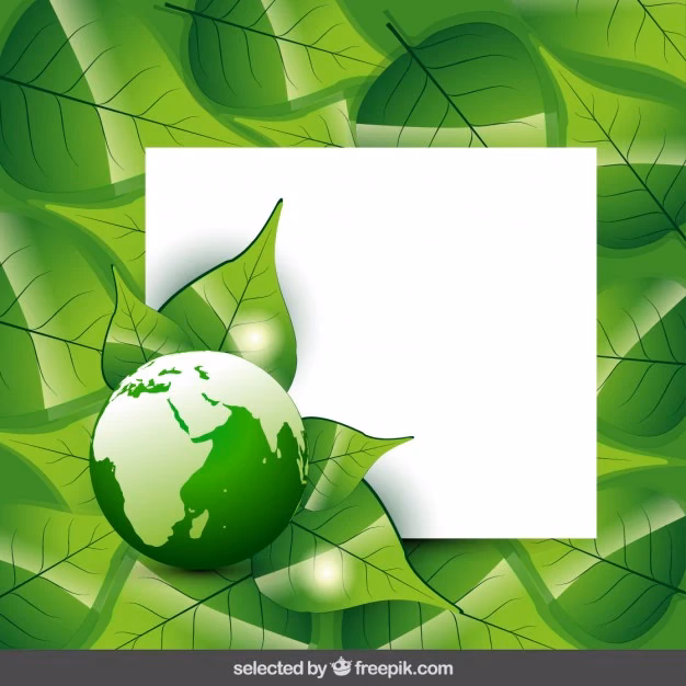 ¿Cómo descargar una plantilla de Freepik?