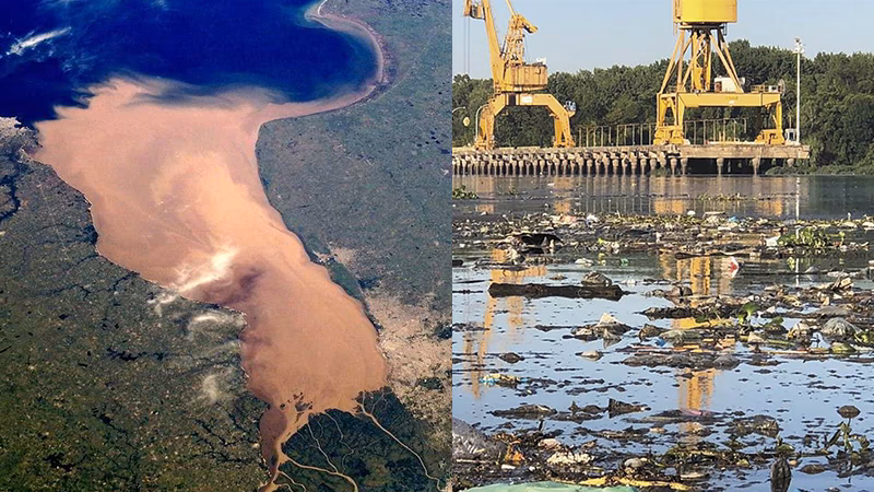 ¿Cómo afecta la Plata al medio ambiente?