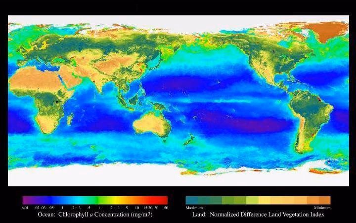 ¿Cuánto tiempo tarda la Tierra en alcanzar el calor del Plioceno?